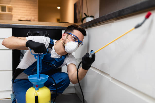Best Affordable Pest Control Services  in Gaithersburg, MD