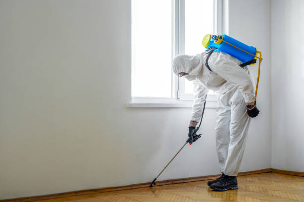  Gaithersburg, MD Pest Control Pros