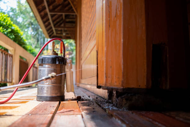 Best Pest Control Treatment  in Gaithersburg, MD
