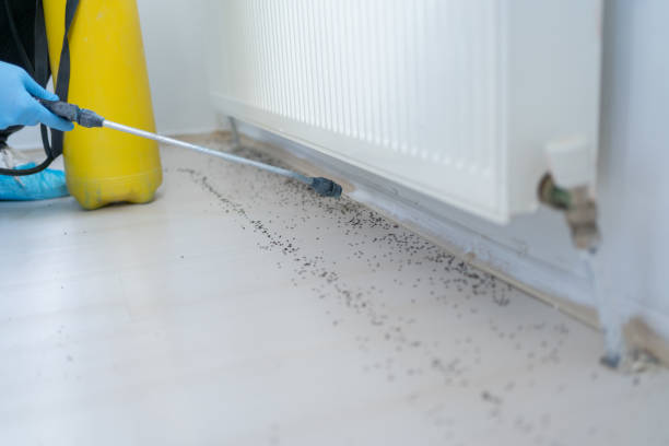 Best Insect Control  in Gaithersburg, MD